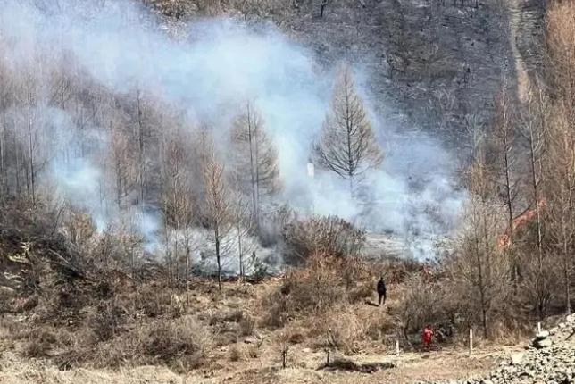明火已撲滅，初步判斷由祭祀用火引發(fā)！今年已發(fā)生多起